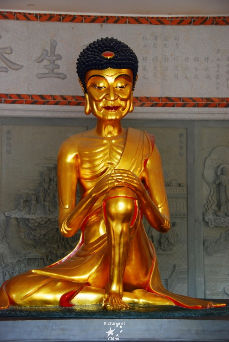 Skeleton buddha