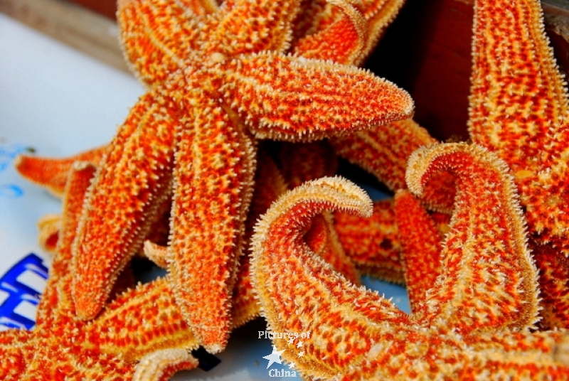 Starfish as a dessert