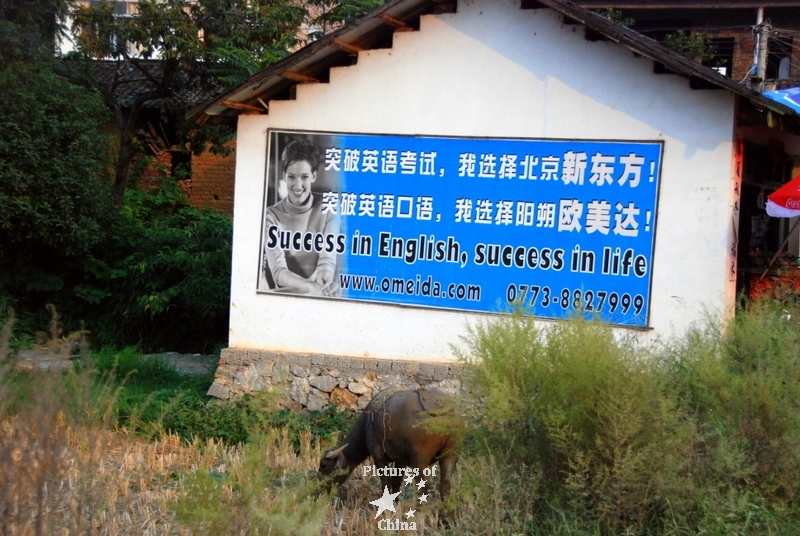 Success in english, success in life