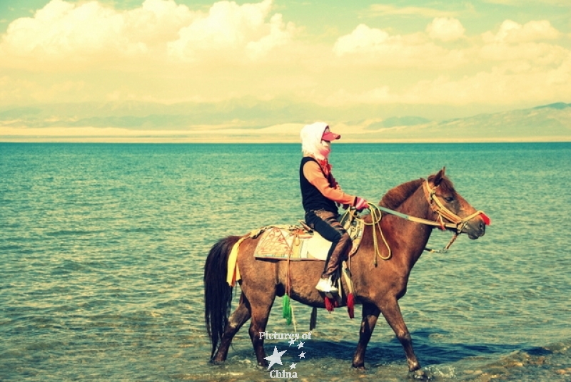 Horse in the lake