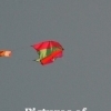 Beijing : Kites race