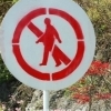 No pedestrian