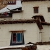 Zhongdian : Tibetan lamasery