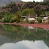 Lake and reflections