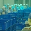 Chengdu : Workers in a factory