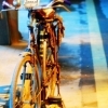 Guangzhou : The old woman and the bicycle