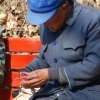 I am selling my peppers, Tianshui (Gansu)