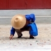 The picker, Dali (Yunnan)