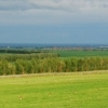 Green fields