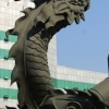 Imperial dragon
